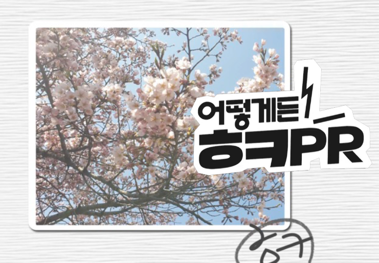 [어떻게든ㅎㅋPR] ep.07 내가 찍은 벚꽃사진 디지털 자산 만들기(Feat.NFT)